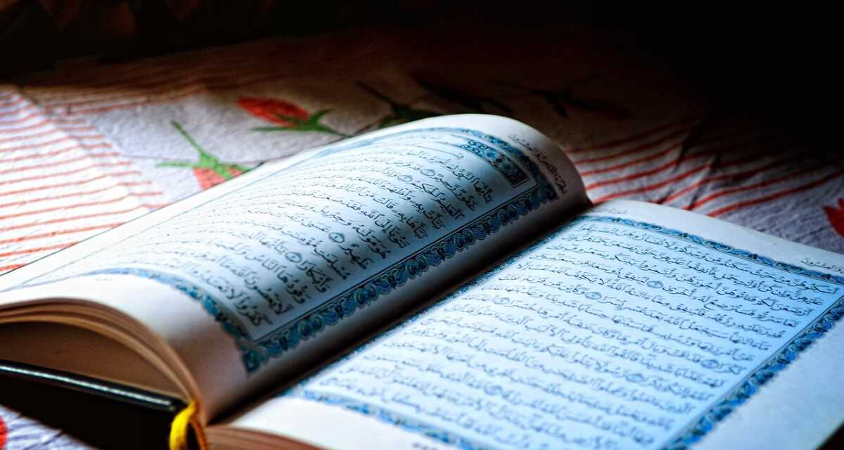 ما جاء في نسخ قتل الكلاب وسبب قتل الكلب الأسود